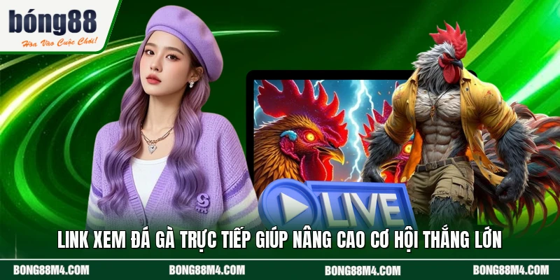 Link Xem Đá Gà Trực Tiếp Giúp Nâng Cao Cơ Hội Thắng Lớn