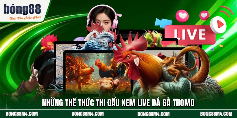 Những thể thức thi đấu xem live đá gà Thomo